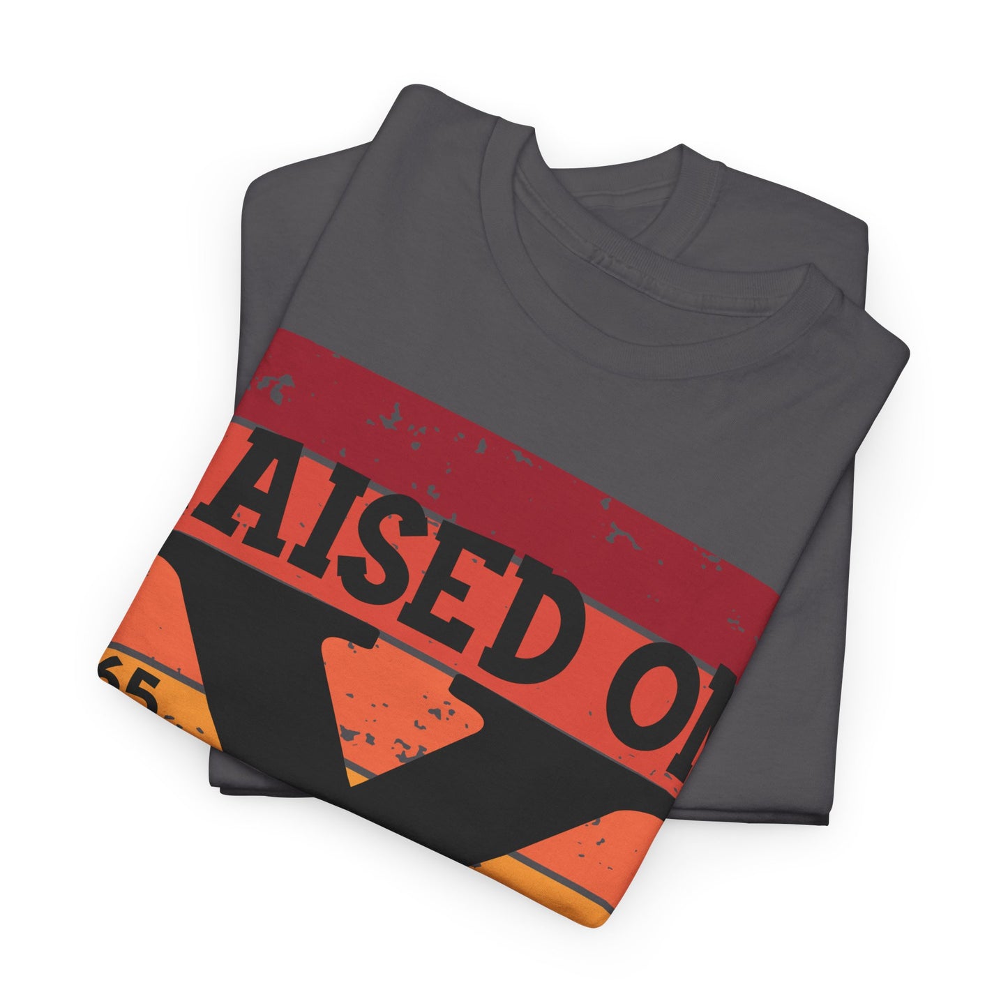 GEN X Raised On Hose Water & Neglect Tshirt Unisex Heavy Cotton
