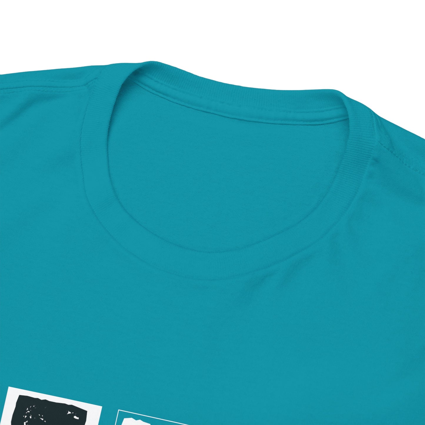 GEN X Raised On Hose Water & Neglect Tshirt Unisex Heavy Cotton