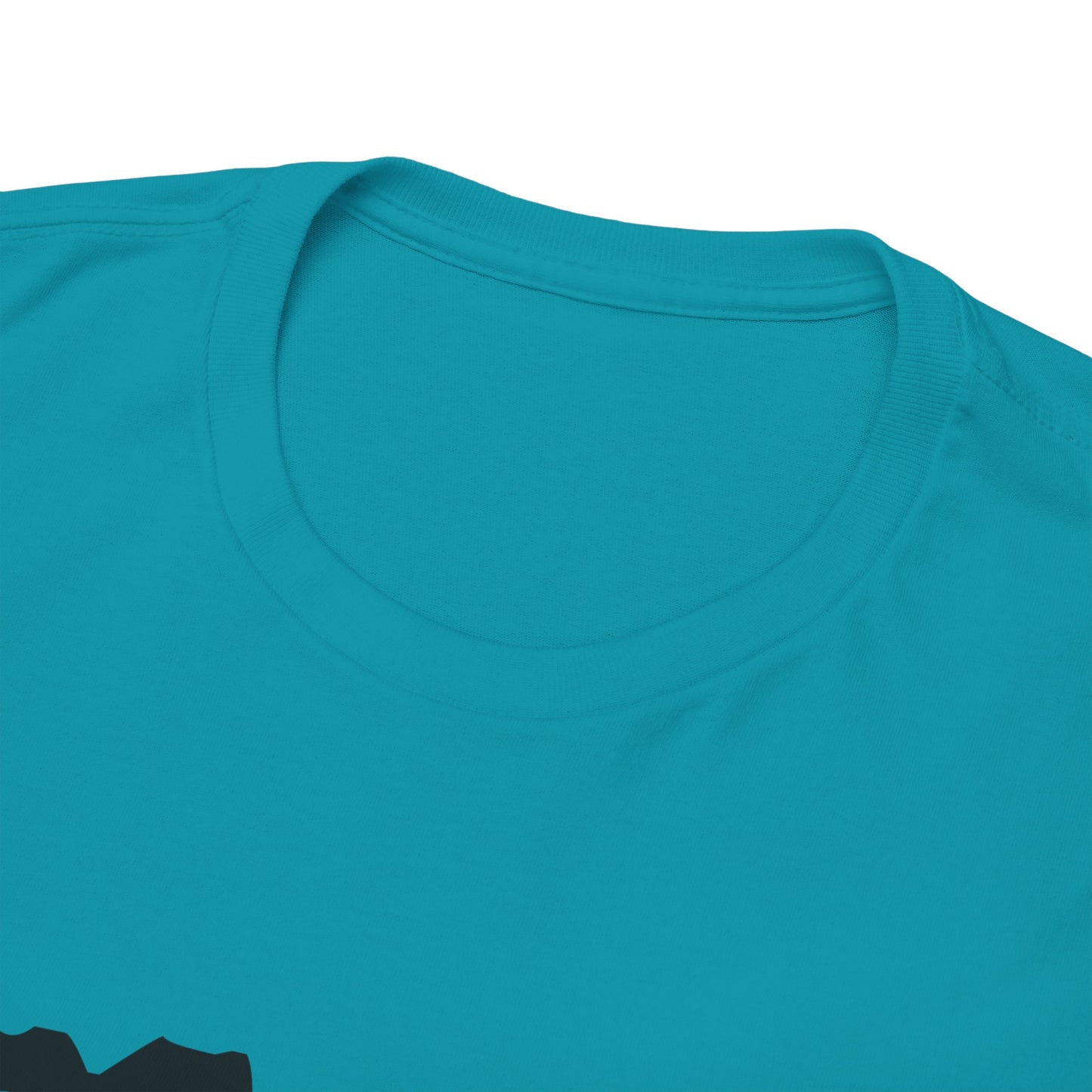 Copy of GEN X Raised On Hose Water & Neglect Tshirt Unisex Heavy Cotton