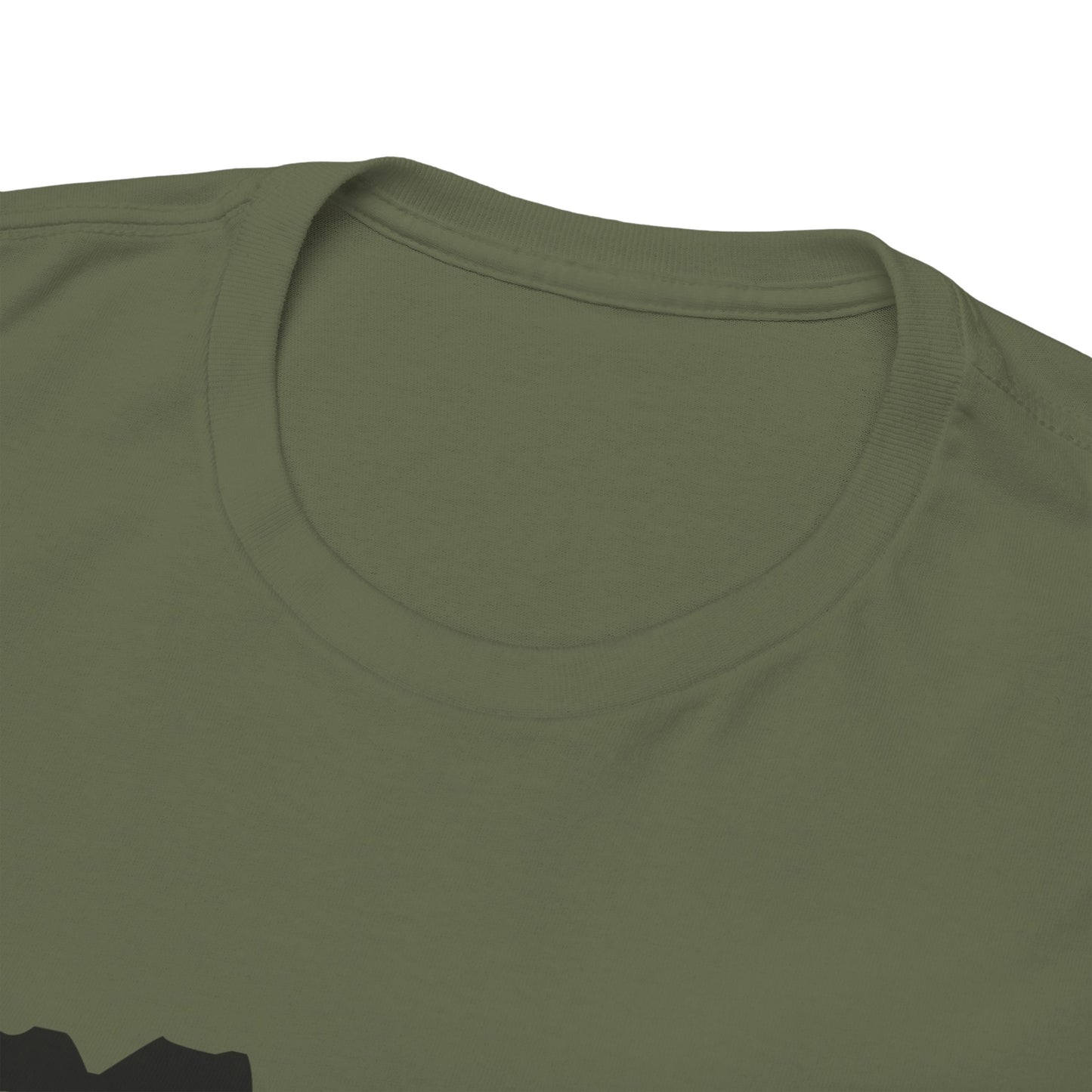 Copy of GEN X Raised On Hose Water & Neglect Tshirt Unisex Heavy Cotton