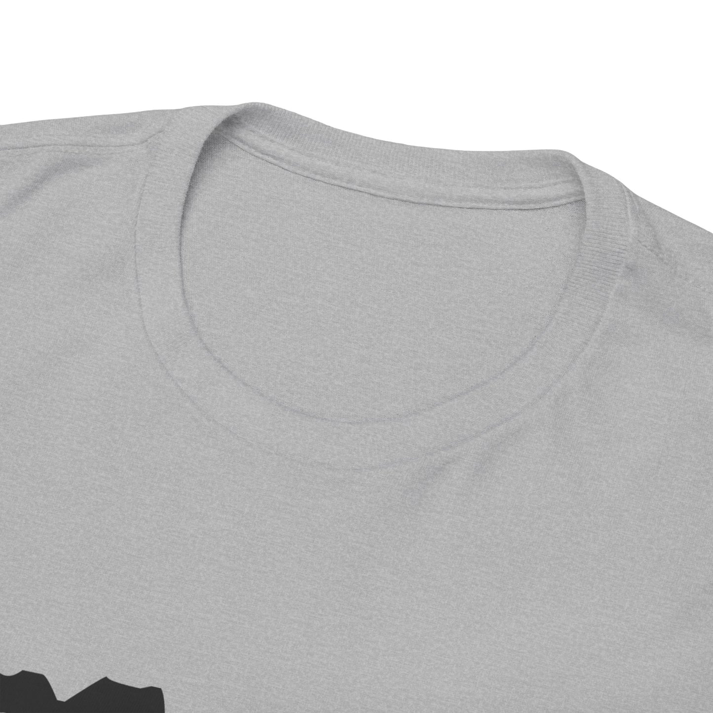 Copy of GEN X Raised On Hose Water & Neglect Tshirt Unisex Heavy Cotton