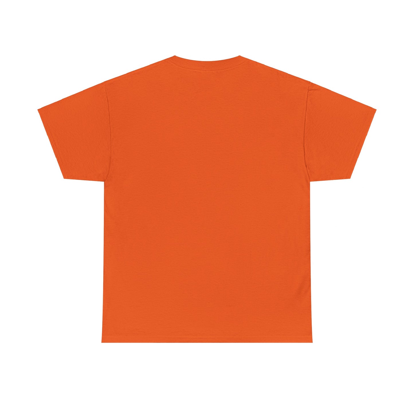 GEN X Raised On Hose Water & Neglect Tshirt Unisex Heavy Cotton T-shirt Unisex Heavy Cotton