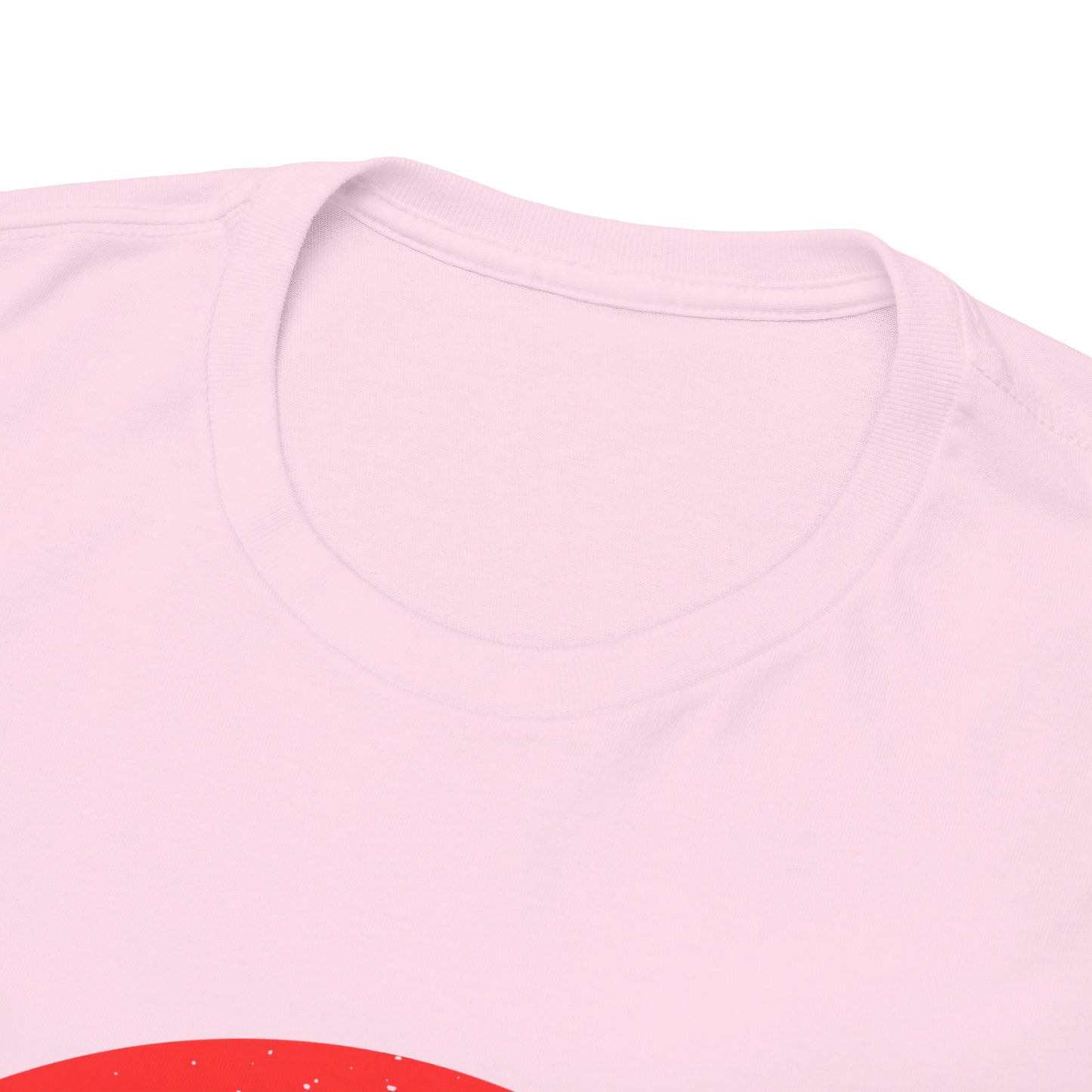 GEN X Raised On Hose Water & Neglect Tshirt Unisex Heavy Cotton