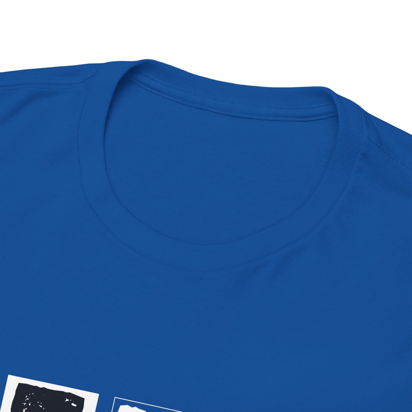 GEN X Raised On Hose Water & Neglect Tshirt Unisex Heavy Cotton