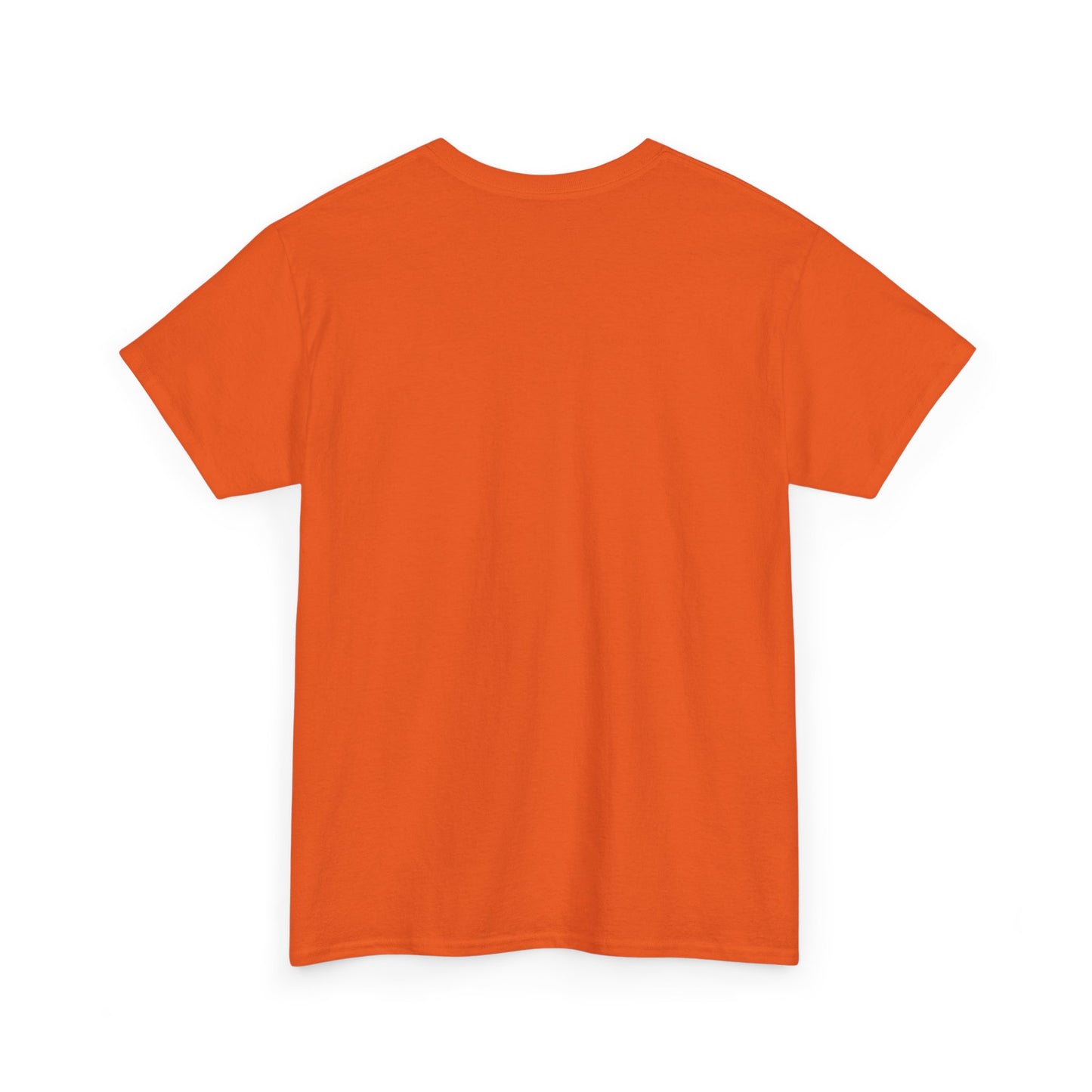 GEN X Raised On Hose Water & Neglect Tshirt Unisex Heavy Cotton T-shirt Unisex Heavy Cotton