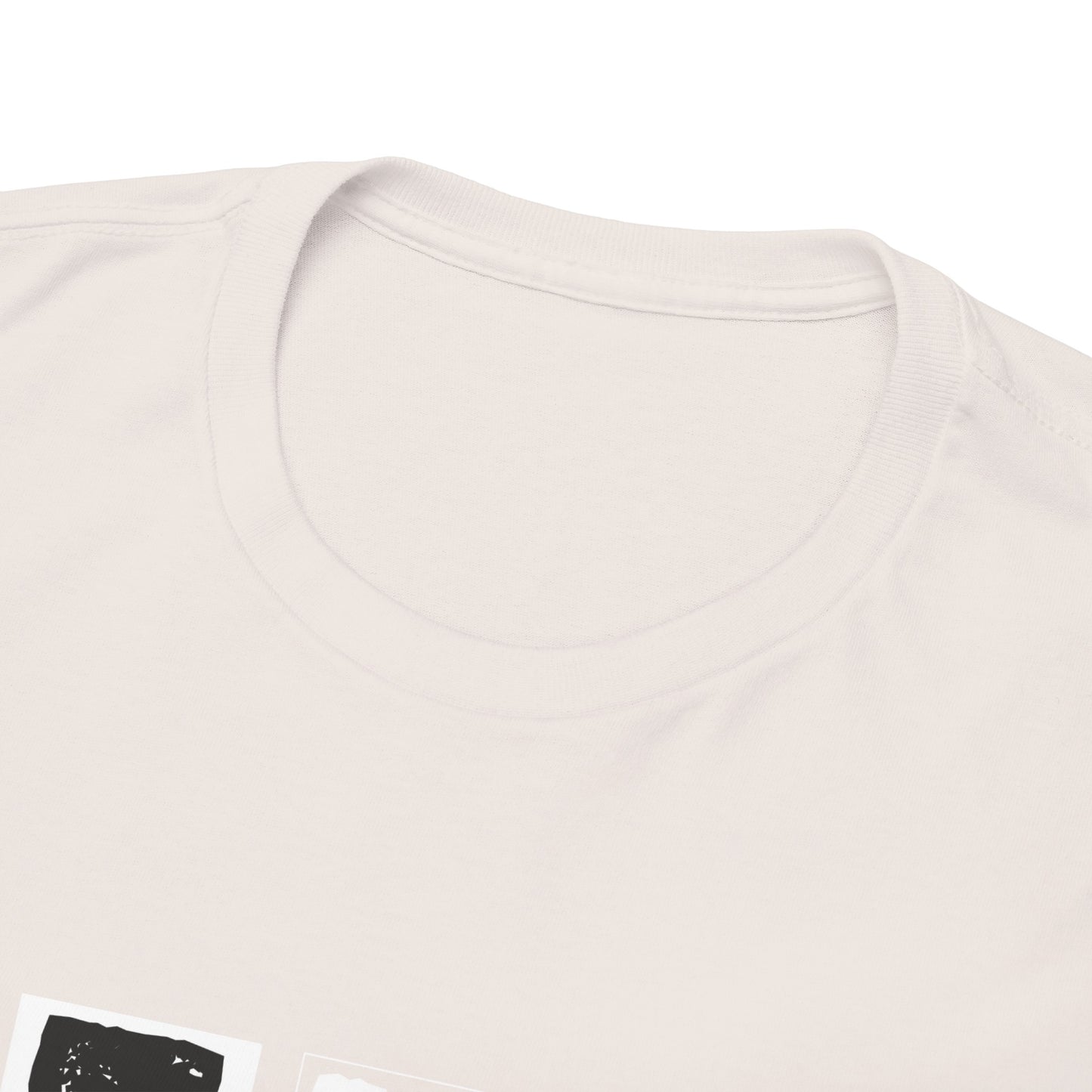 GEN X Raised On Hose Water & Neglect Tshirt Unisex Heavy Cotton