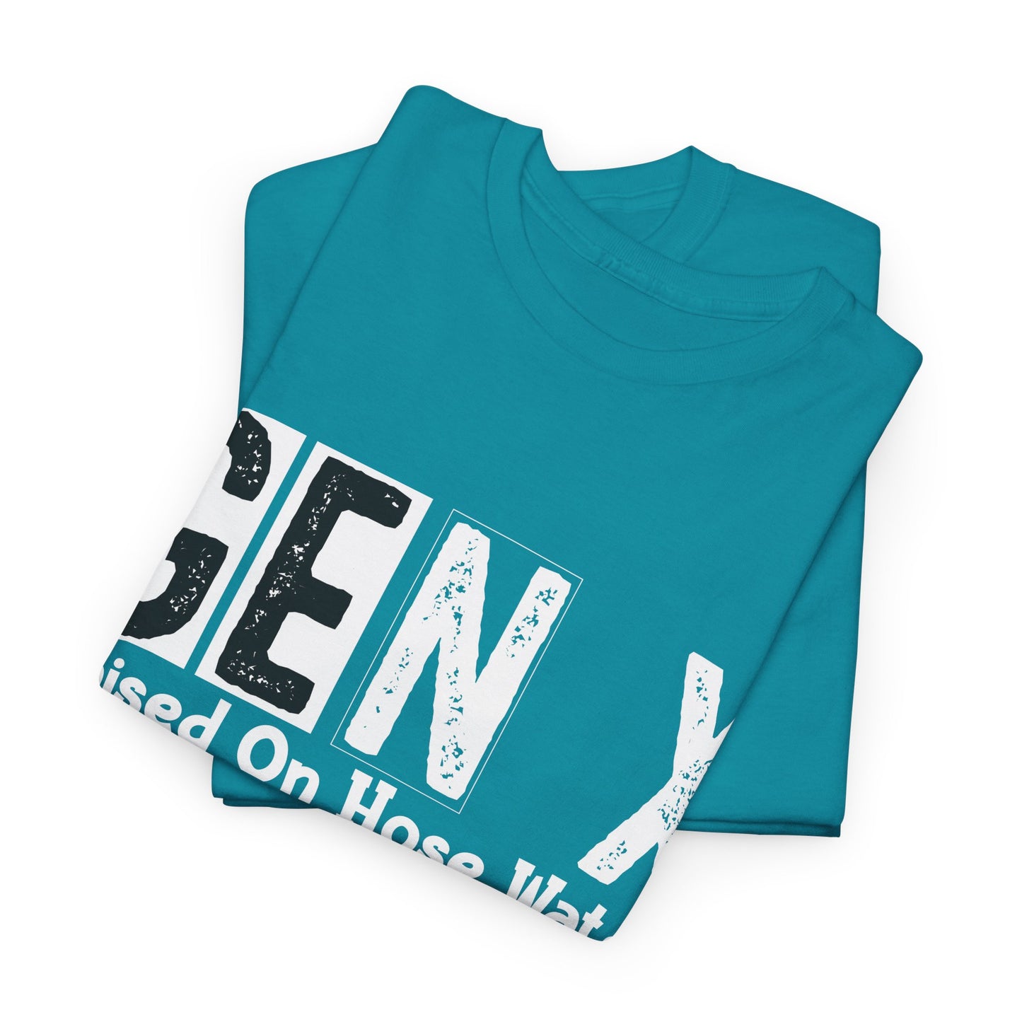 GEN X Raised On Hose Water & Neglect Tshirt Unisex Heavy Cotton