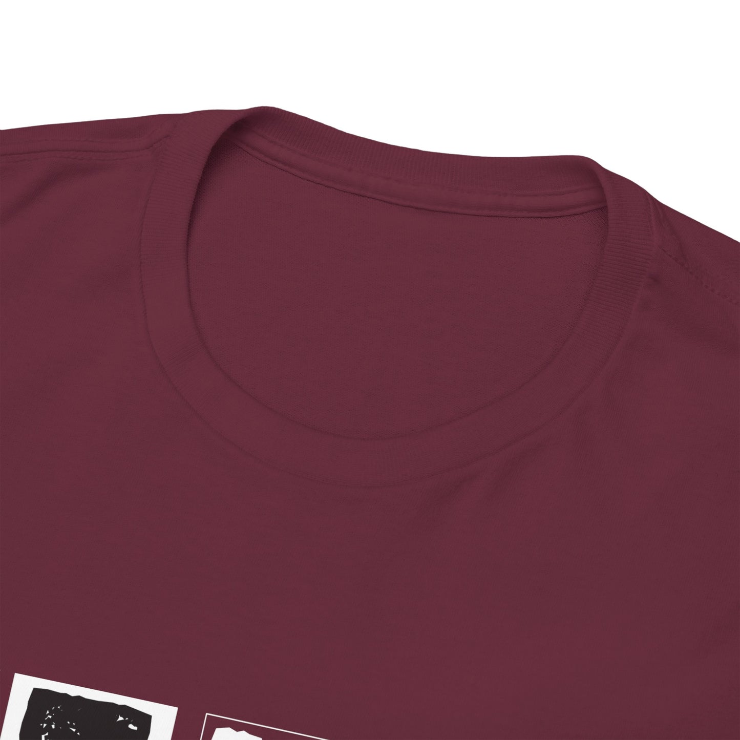 GEN X Raised On Hose Water & Neglect Tshirt Unisex Heavy Cotton