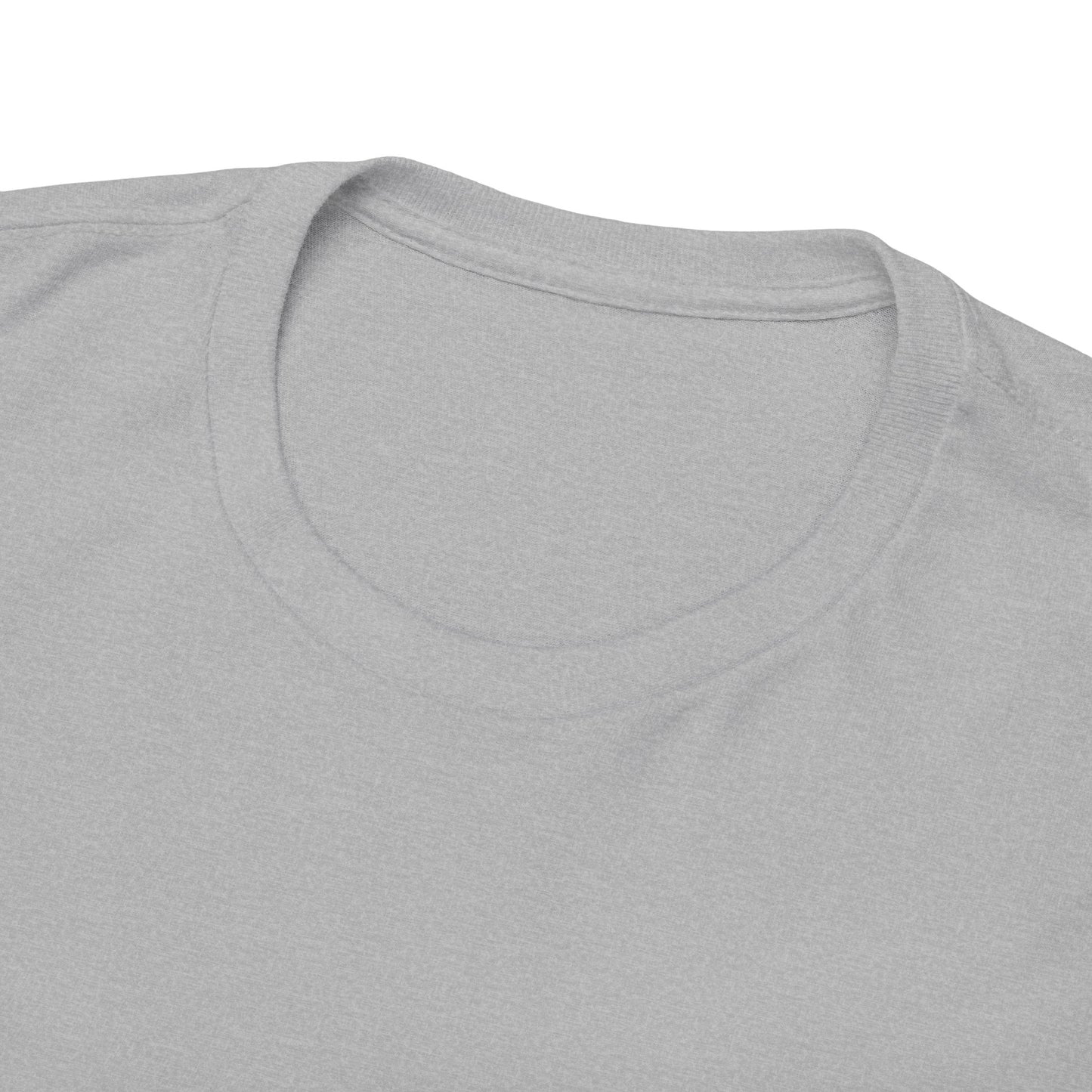 GEN X Raised On Hose Water & Neglect Tshirt Unisex Heavy Cotton
