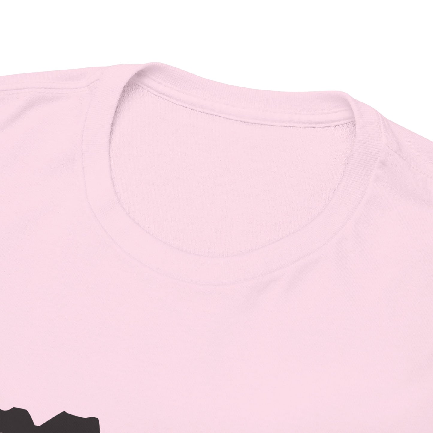 Copy of GEN X Raised On Hose Water & Neglect Tshirt Unisex Heavy Cotton