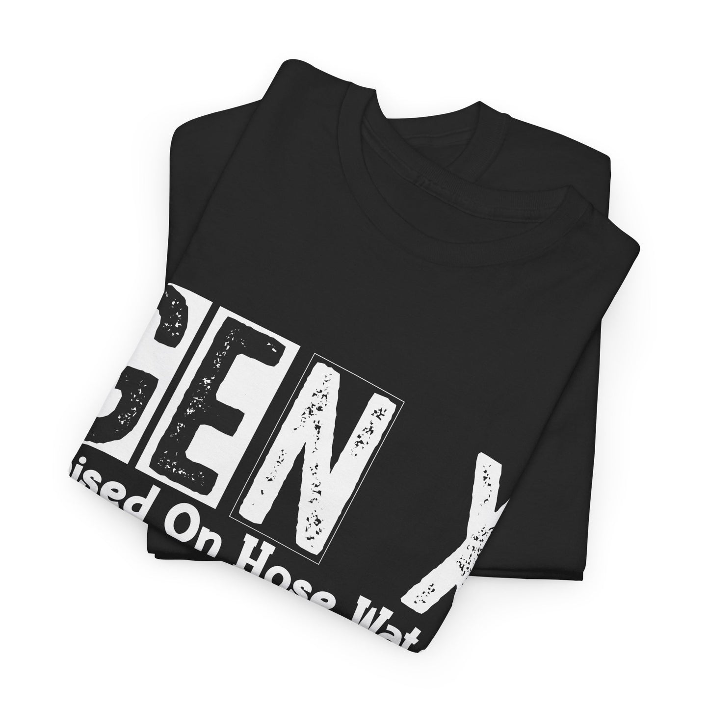 GEN X Raised On Hose Water & Neglect Tshirt Unisex Heavy Cotton