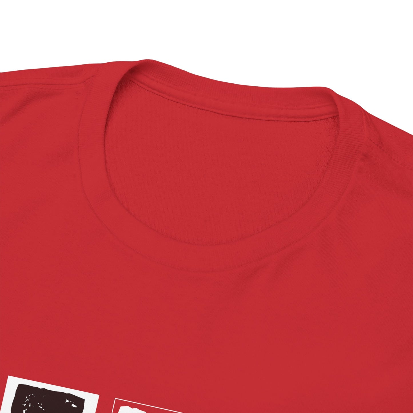 GEN X Raised On Hose Water & Neglect Tshirt Unisex Heavy Cotton