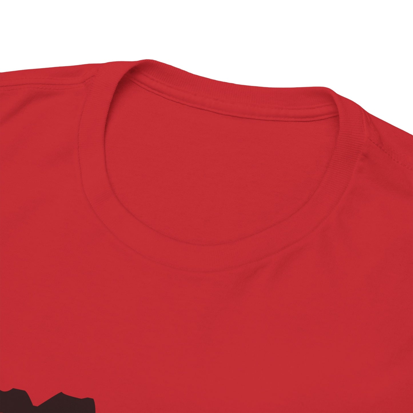 Copy of GEN X Raised On Hose Water & Neglect Tshirt Unisex Heavy Cotton