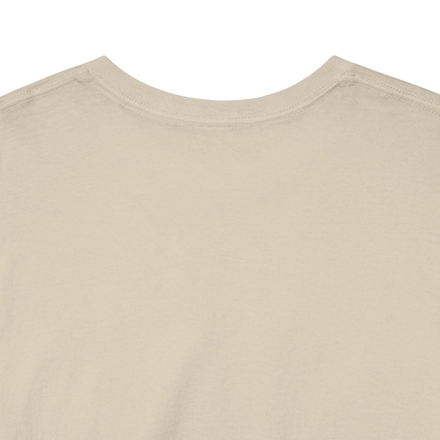 GEN X Raised On Hose Water & Neglect Tshirt Unisex Heavy Cotton