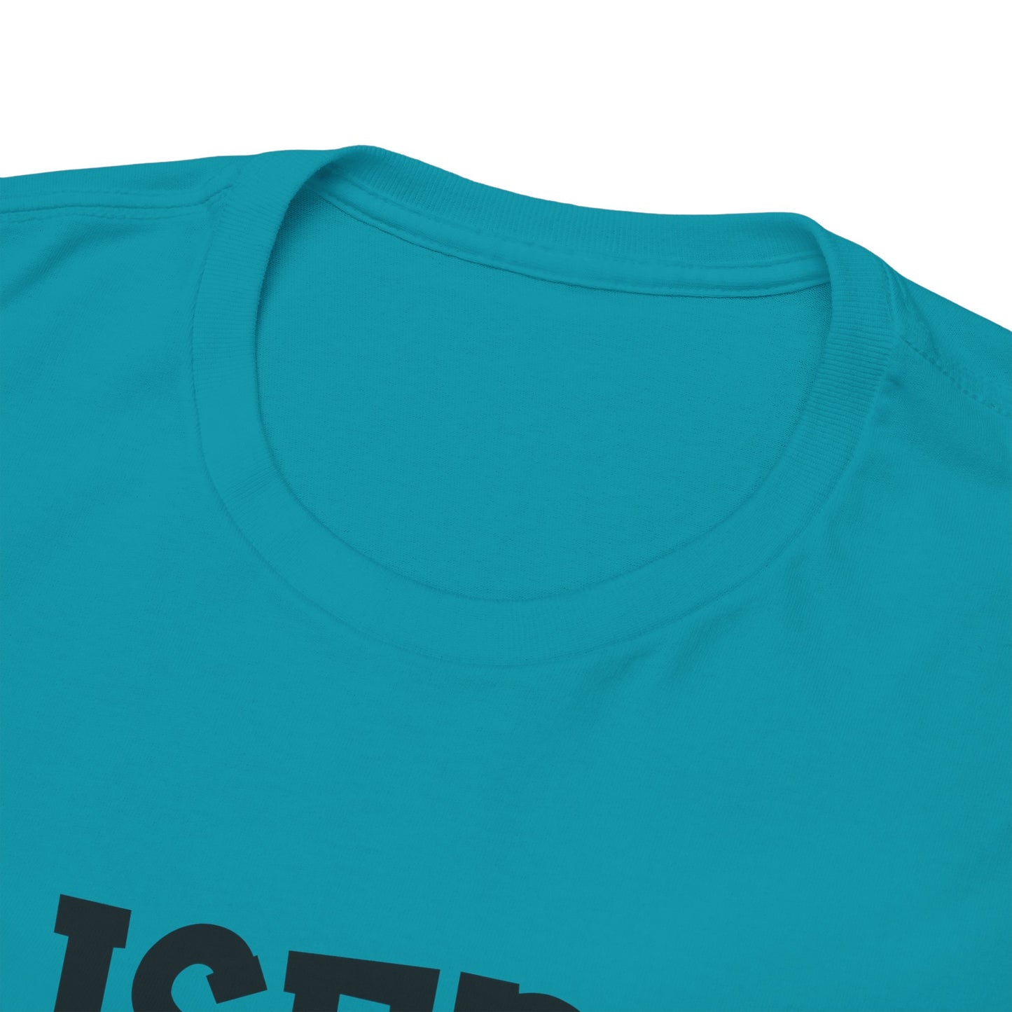 GEN X Raised On Hose Water & Neglect Tshirt Unisex Heavy Cotton