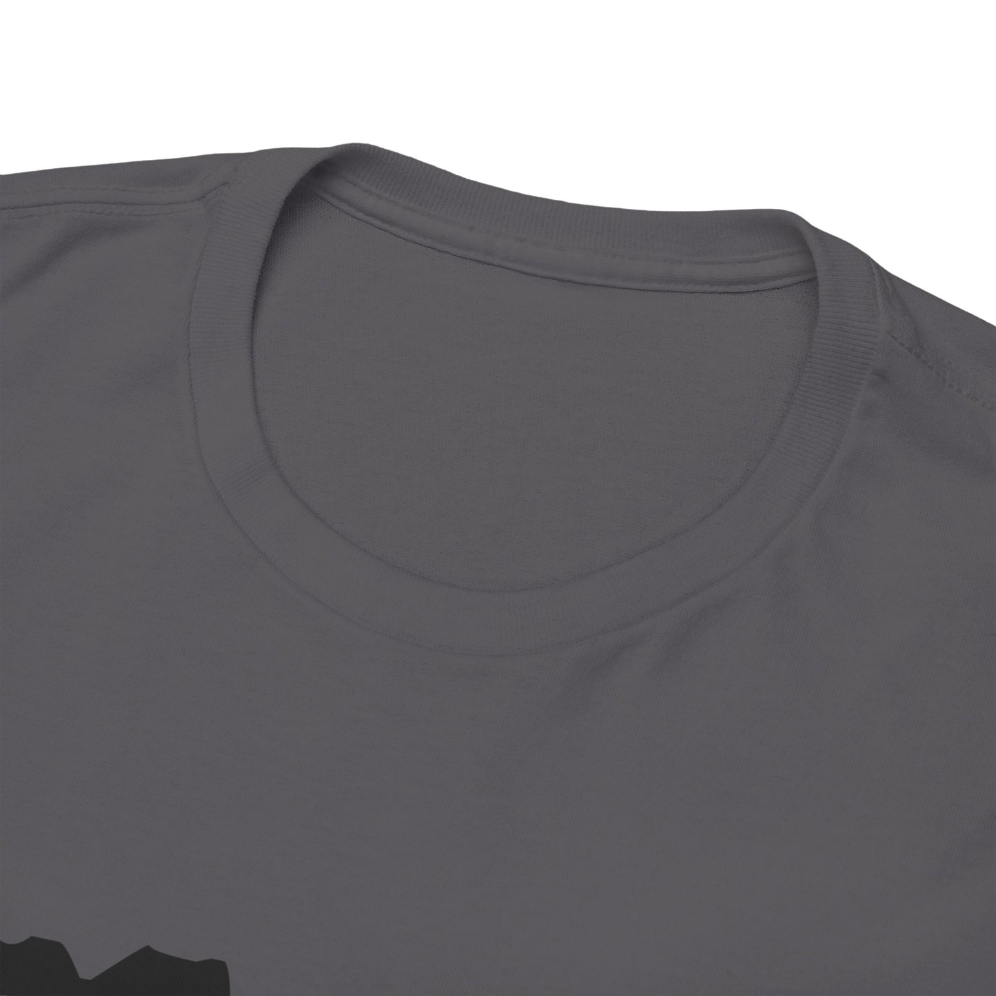 Copy of GEN X Raised On Hose Water & Neglect Tshirt Unisex Heavy Cotton