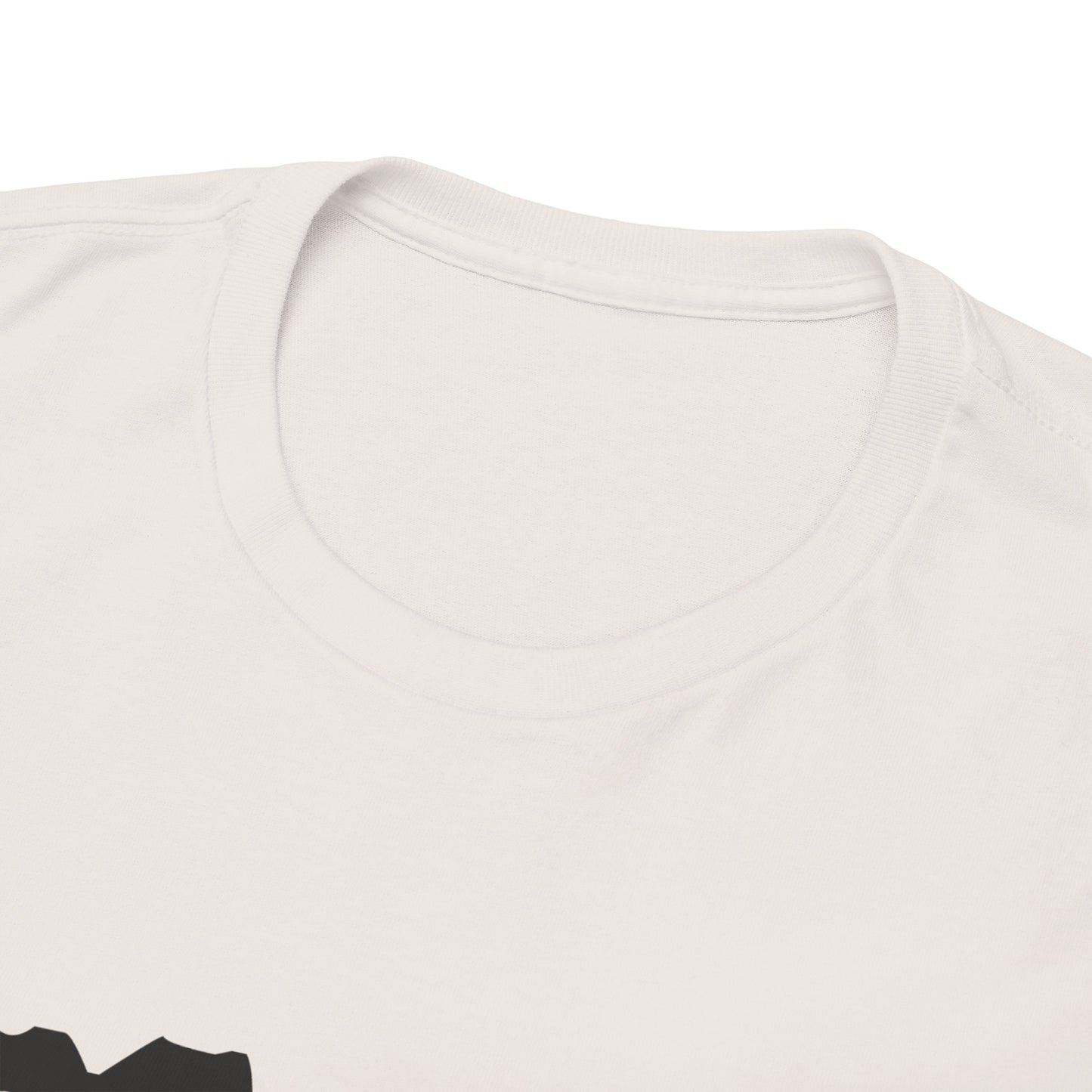 Copy of GEN X Raised On Hose Water & Neglect Tshirt Unisex Heavy Cotton