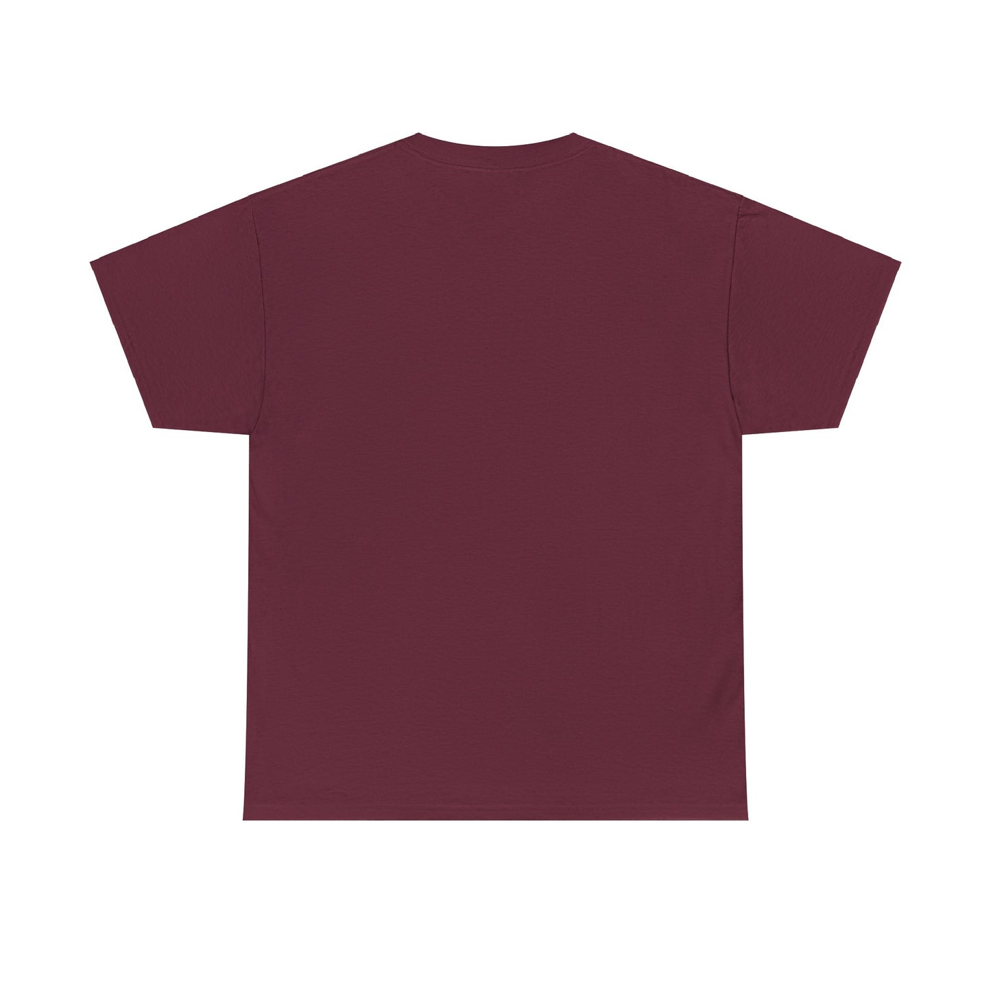 GEN X Raised On Hose Water & Neglect Tshirt Unisex Heavy Cotton T-shirt Unisex Heavy Cotton