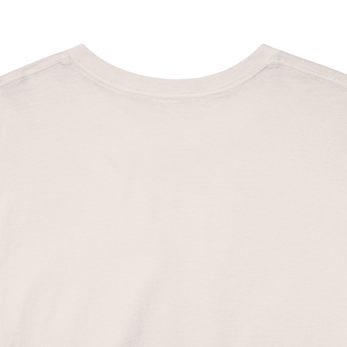 GEN X Raised On Hose Water & Neglect Tshirt Unisex Heavy Cotton
