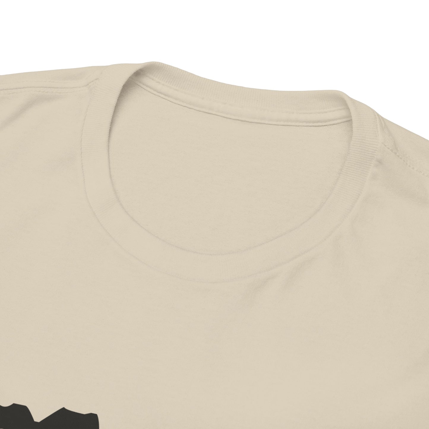 Copy of GEN X Raised On Hose Water & Neglect Tshirt Unisex Heavy Cotton