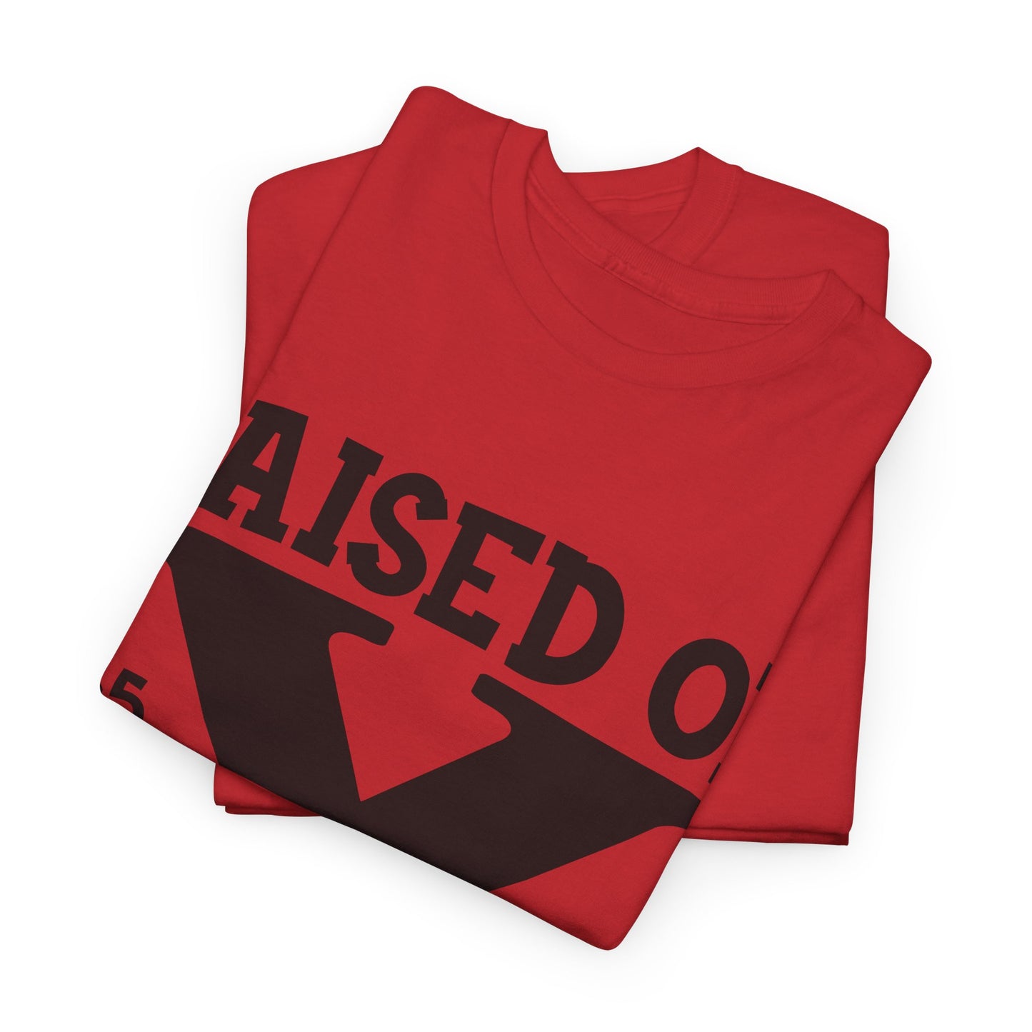 GEN X Raised On Hose Water & Neglect Tshirt Unisex Heavy Cotton