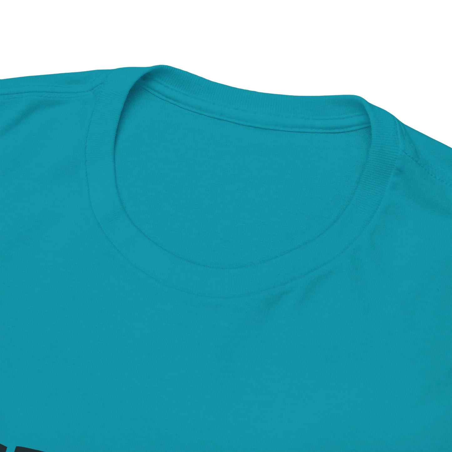 GEN X Raised On Hose Water & Neglect Tshirt Unisex Heavy Cotton