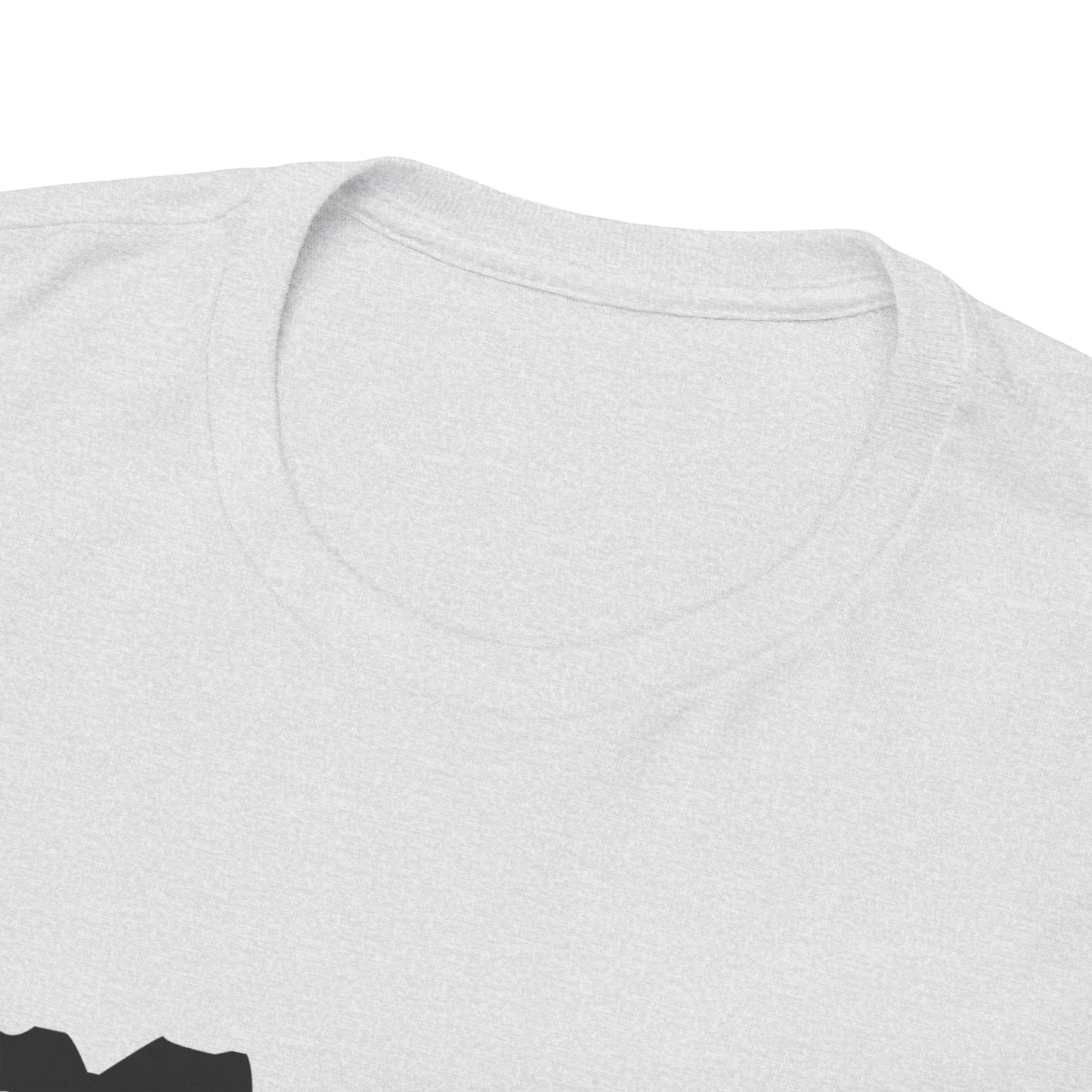 Copy of GEN X Raised On Hose Water & Neglect Tshirt Unisex Heavy Cotton