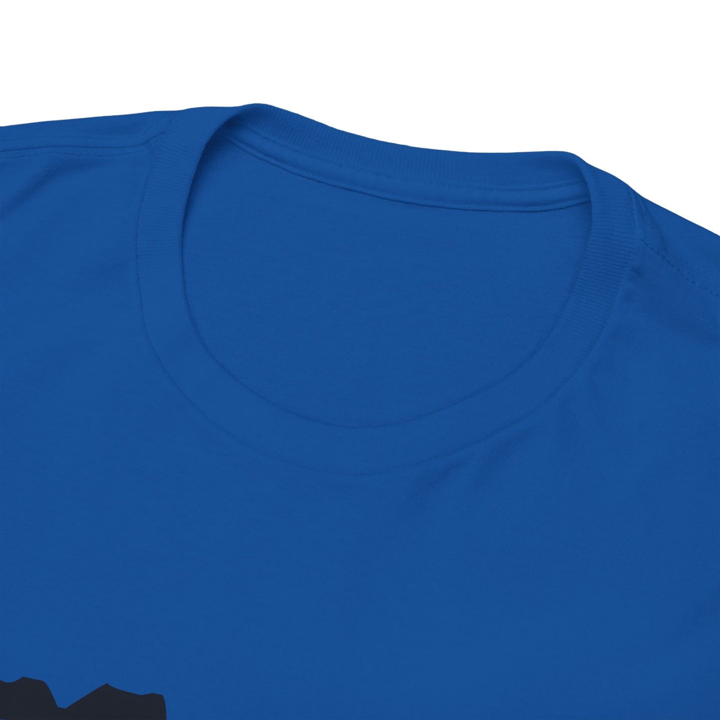 Copy of GEN X Raised On Hose Water & Neglect Tshirt Unisex Heavy Cotton