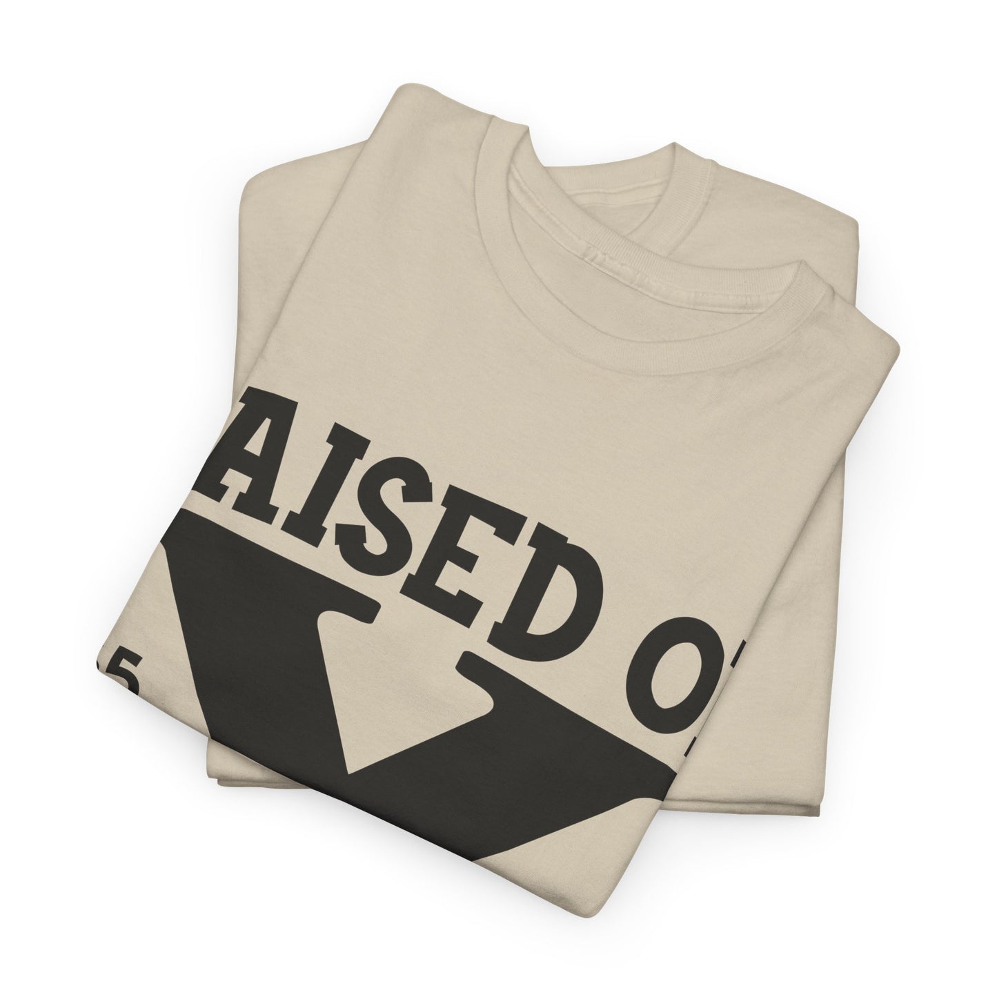 GEN X Raised On Hose Water & Neglect Tshirt Unisex Heavy Cotton