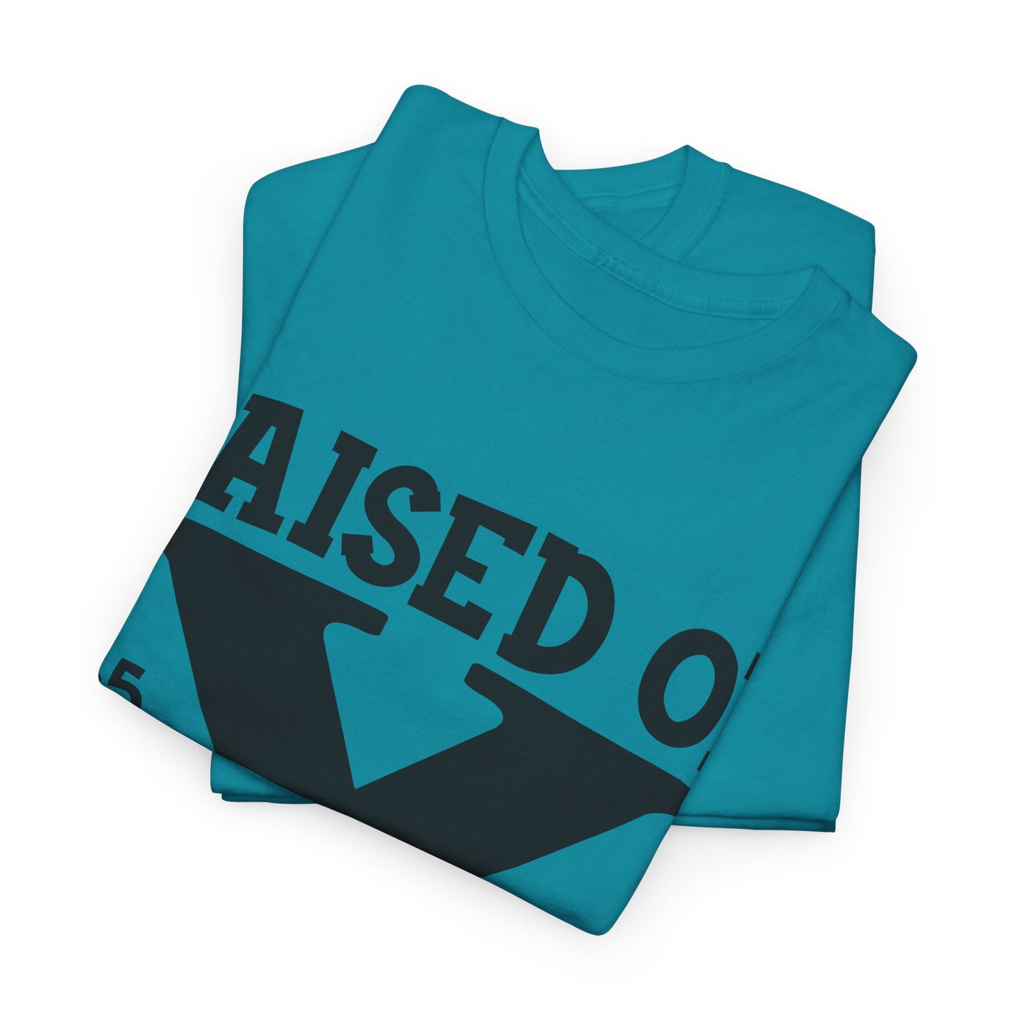 GEN X Raised On Hose Water & Neglect Tshirt Unisex Heavy Cotton