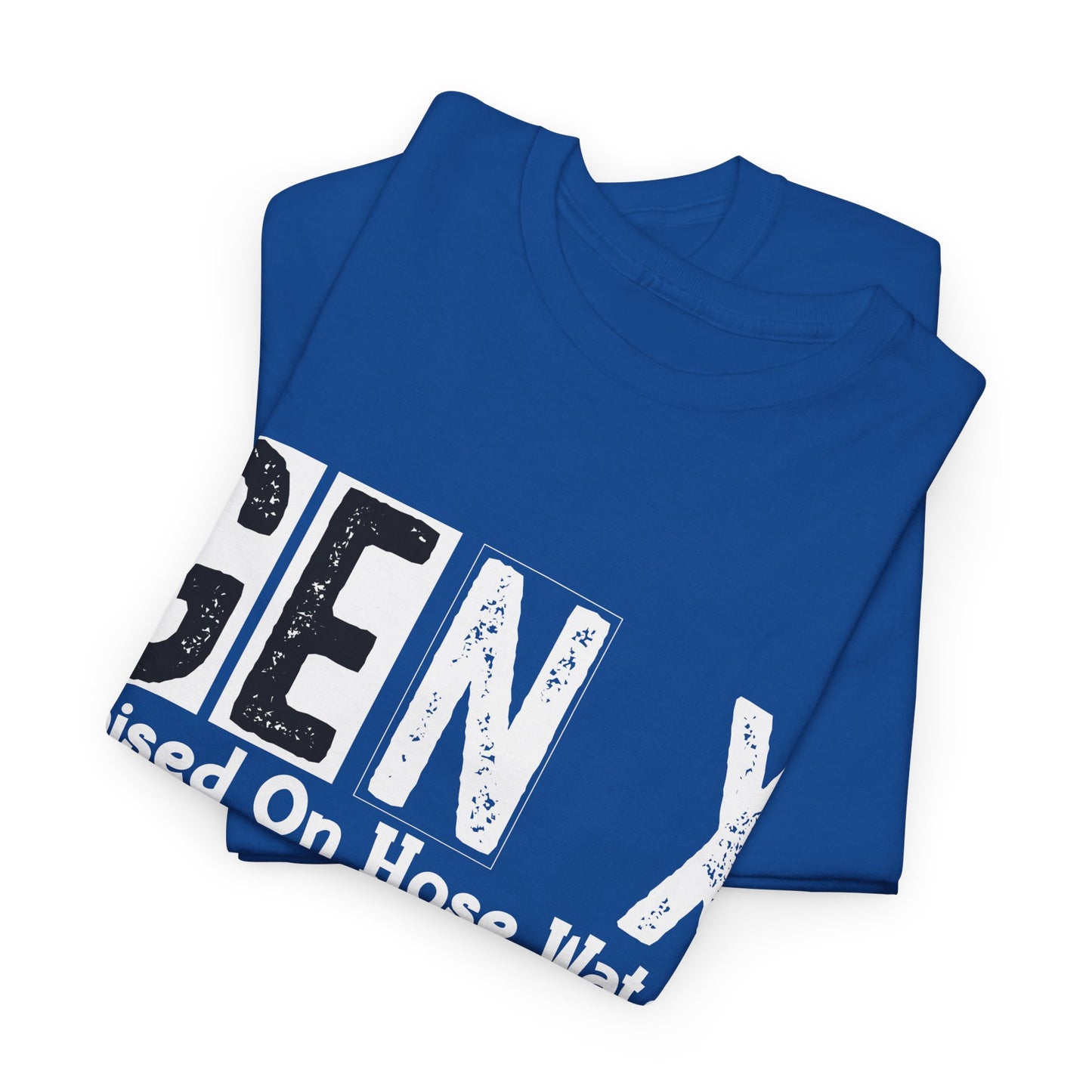 GEN X Raised On Hose Water & Neglect Tshirt Unisex Heavy Cotton