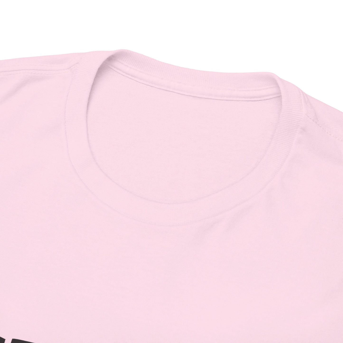 GEN X Raised On Hose Water & Neglect Tshirt Unisex Heavy Cotton
