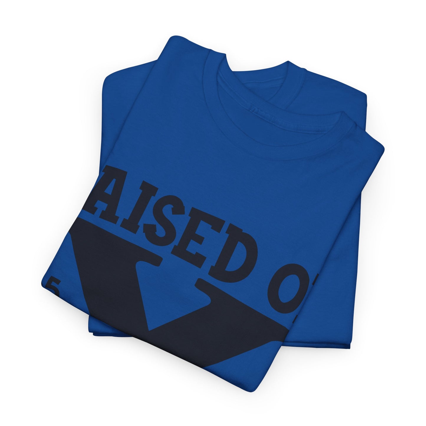 GEN X Raised On Hose Water & Neglect Tshirt Unisex Heavy Cotton