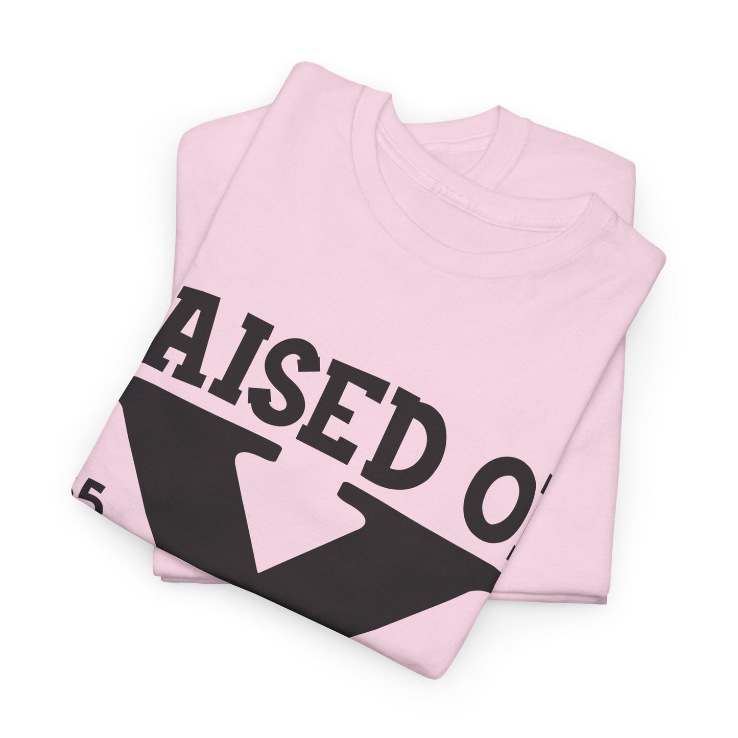 GEN X Raised On Hose Water & Neglect Tshirt Unisex Heavy Cotton