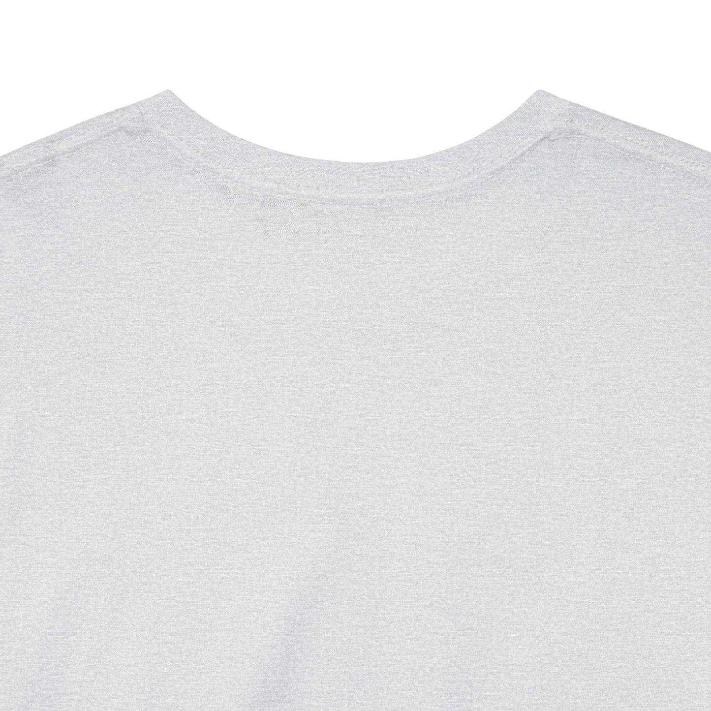 GEN X Raised On Hose Water & Neglect Tshirt Unisex Heavy Cotton