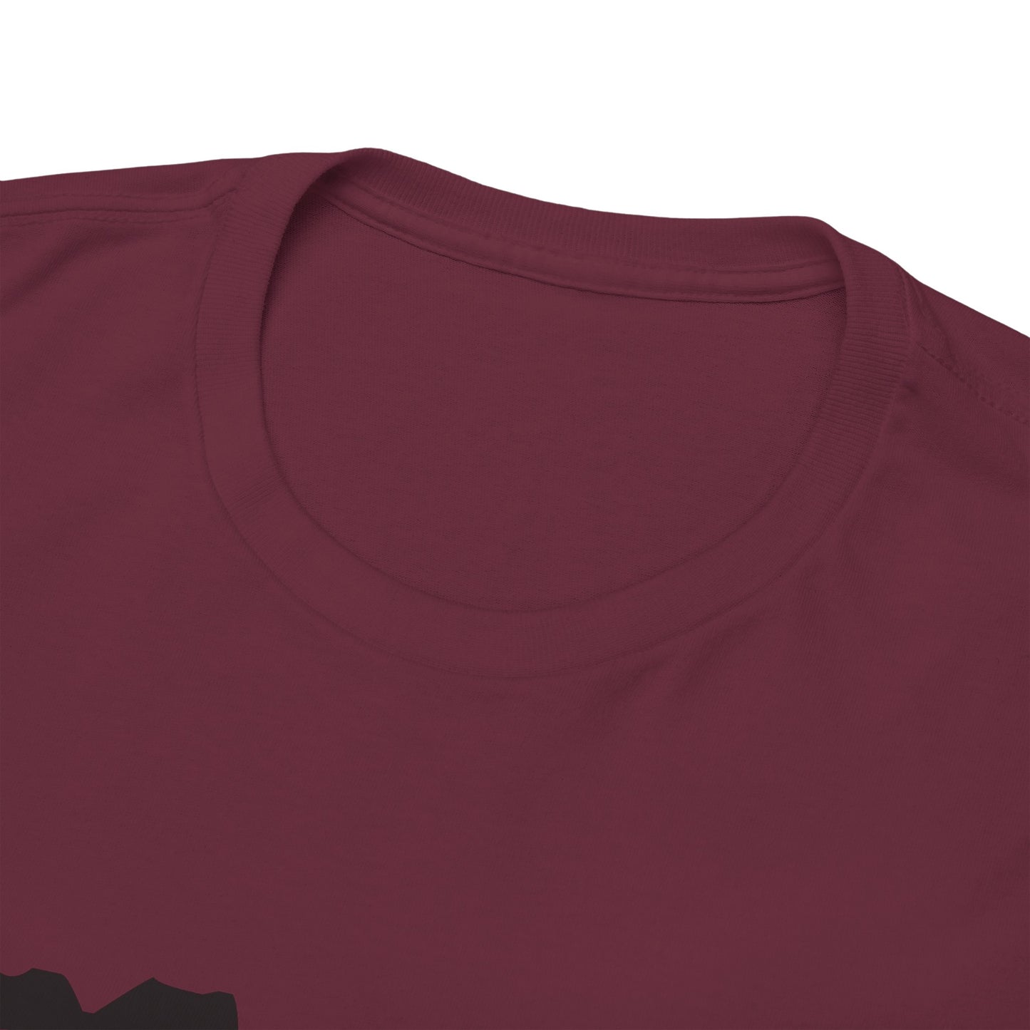 Copy of GEN X Raised On Hose Water & Neglect Tshirt Unisex Heavy Cotton