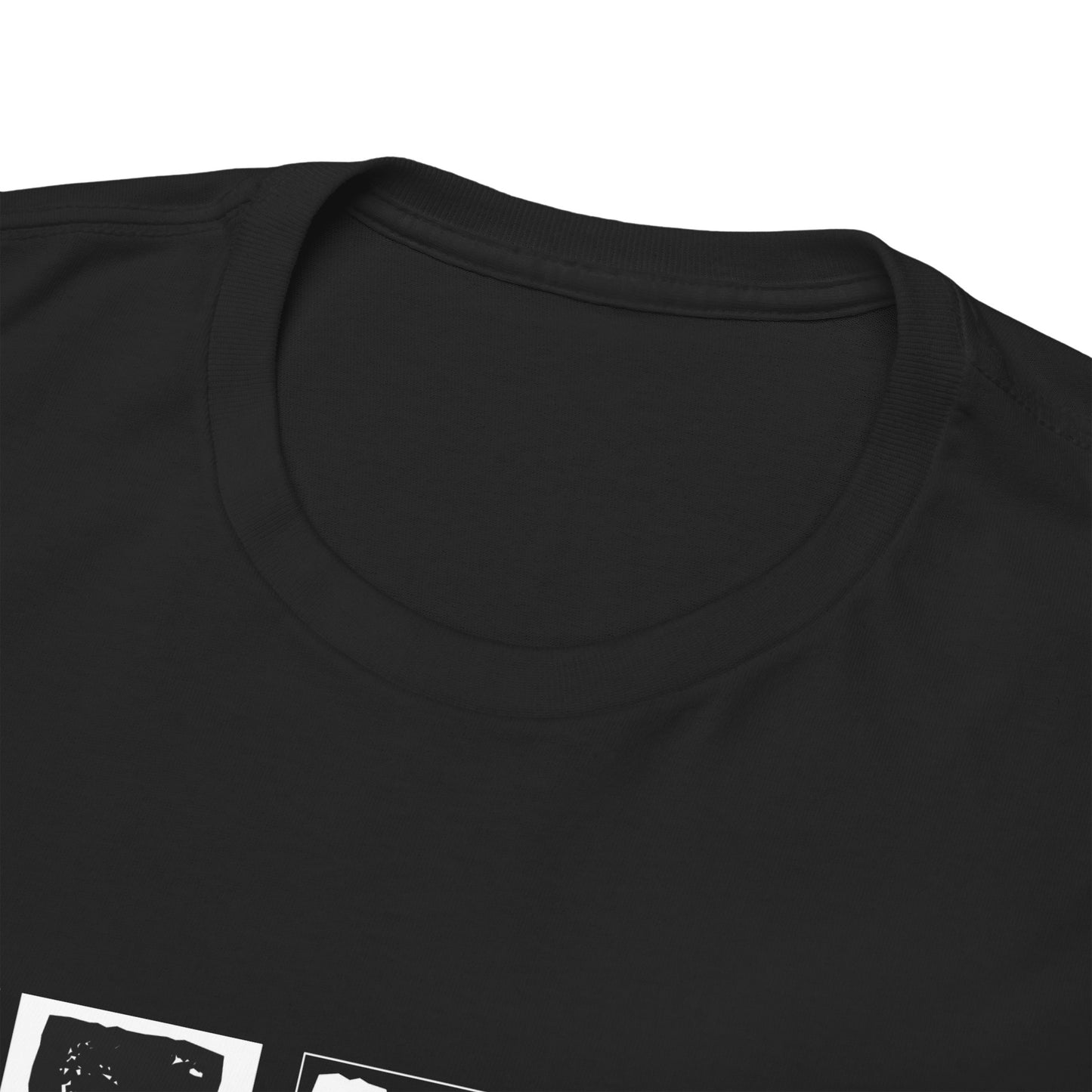 GEN X Raised On Hose Water & Neglect Tshirt Unisex Heavy Cotton