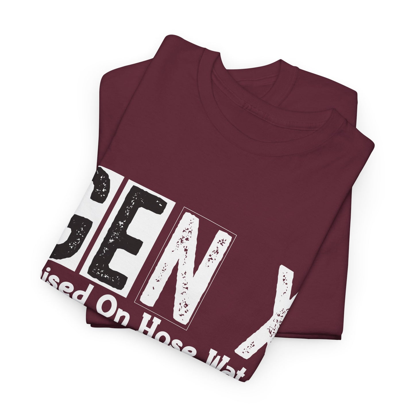 GEN X Raised On Hose Water & Neglect Tshirt Unisex Heavy Cotton