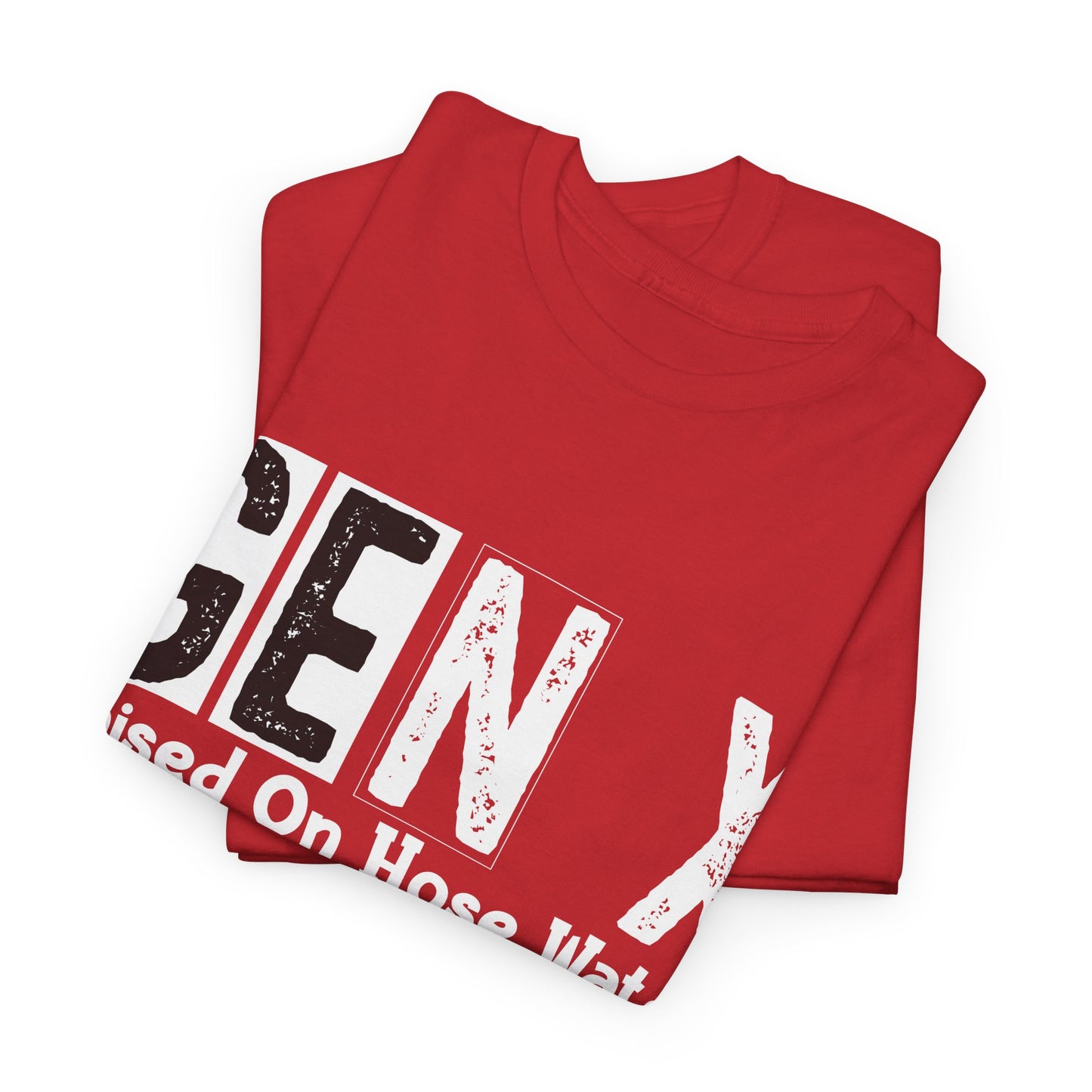 GEN X Raised On Hose Water & Neglect Tshirt Unisex Heavy Cotton