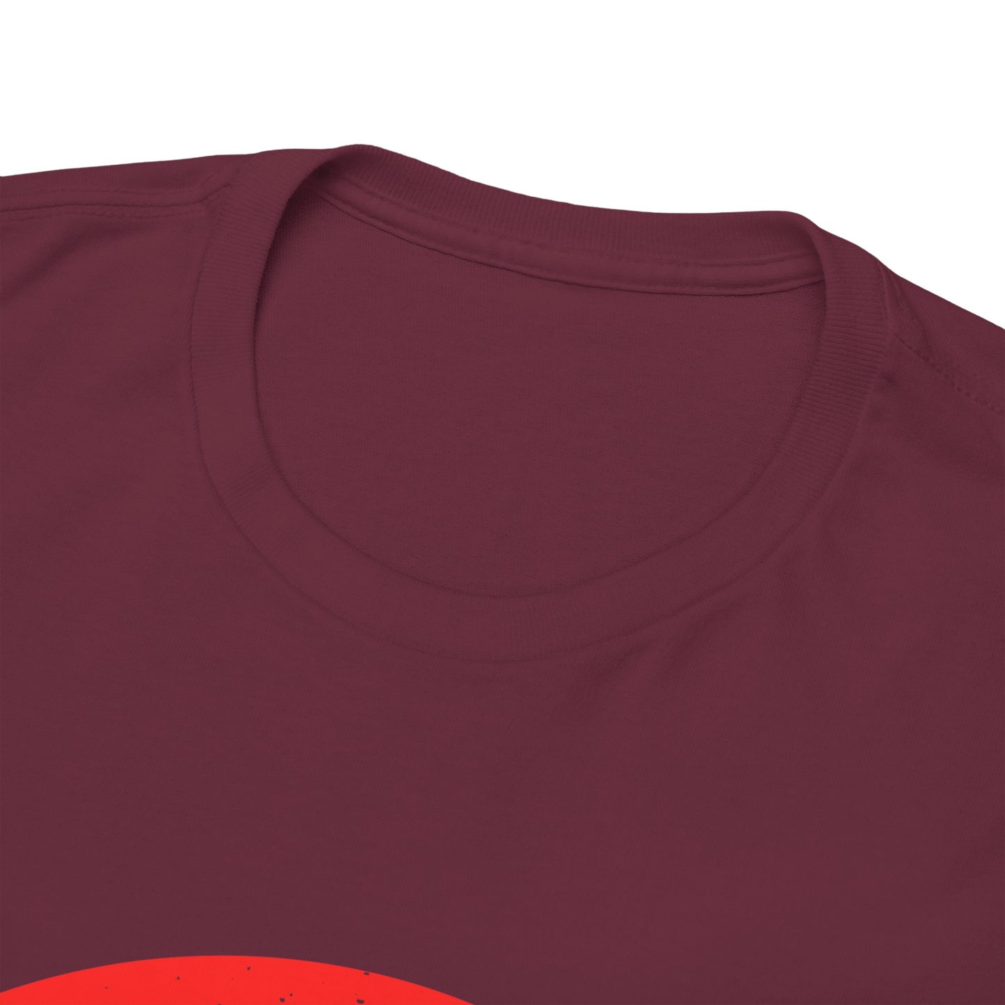 GEN X Raised On Hose Water & Neglect Tshirt Unisex Heavy Cotton
