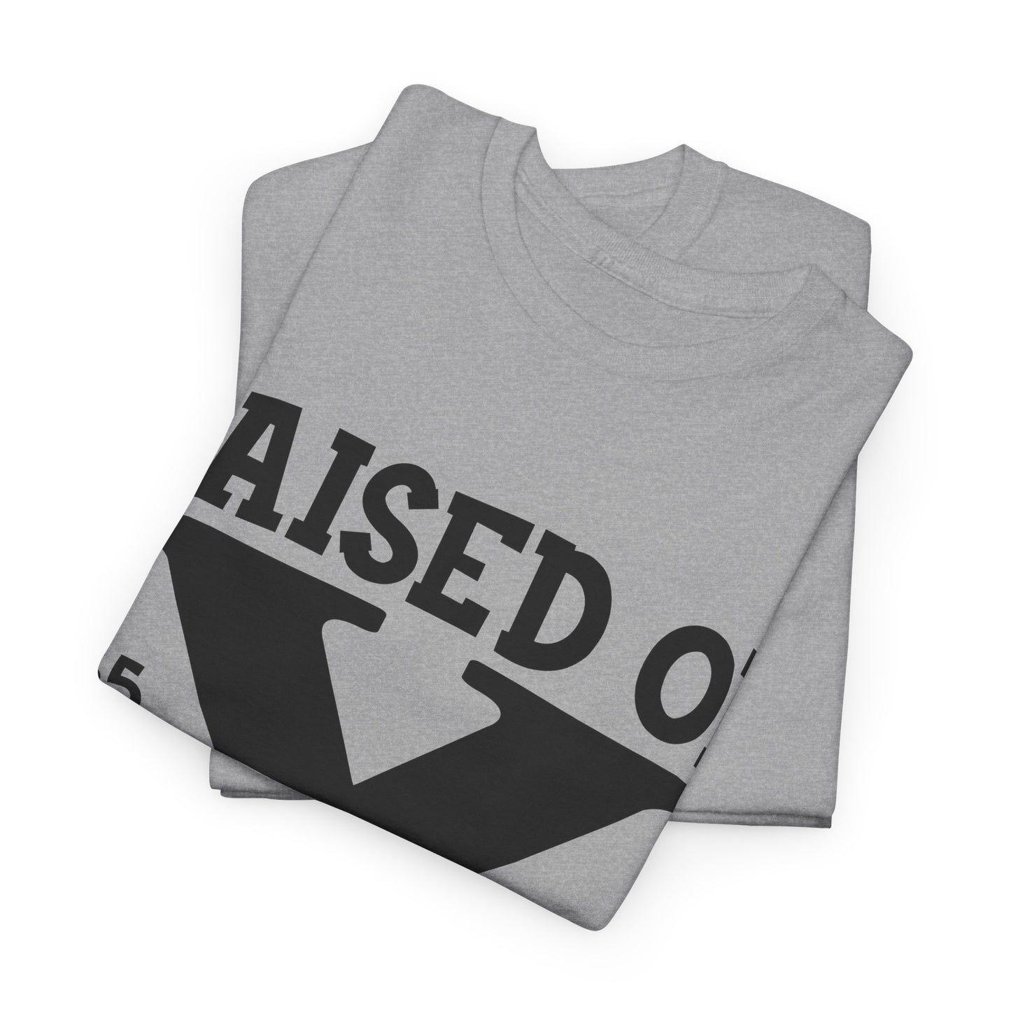 GEN X Raised On Hose Water & Neglect Tshirt Unisex Heavy Cotton