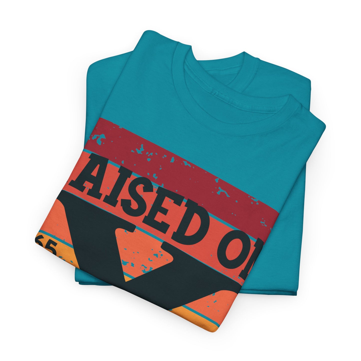 GEN X Raised On Hose Water & Neglect Tshirt Unisex Heavy Cotton