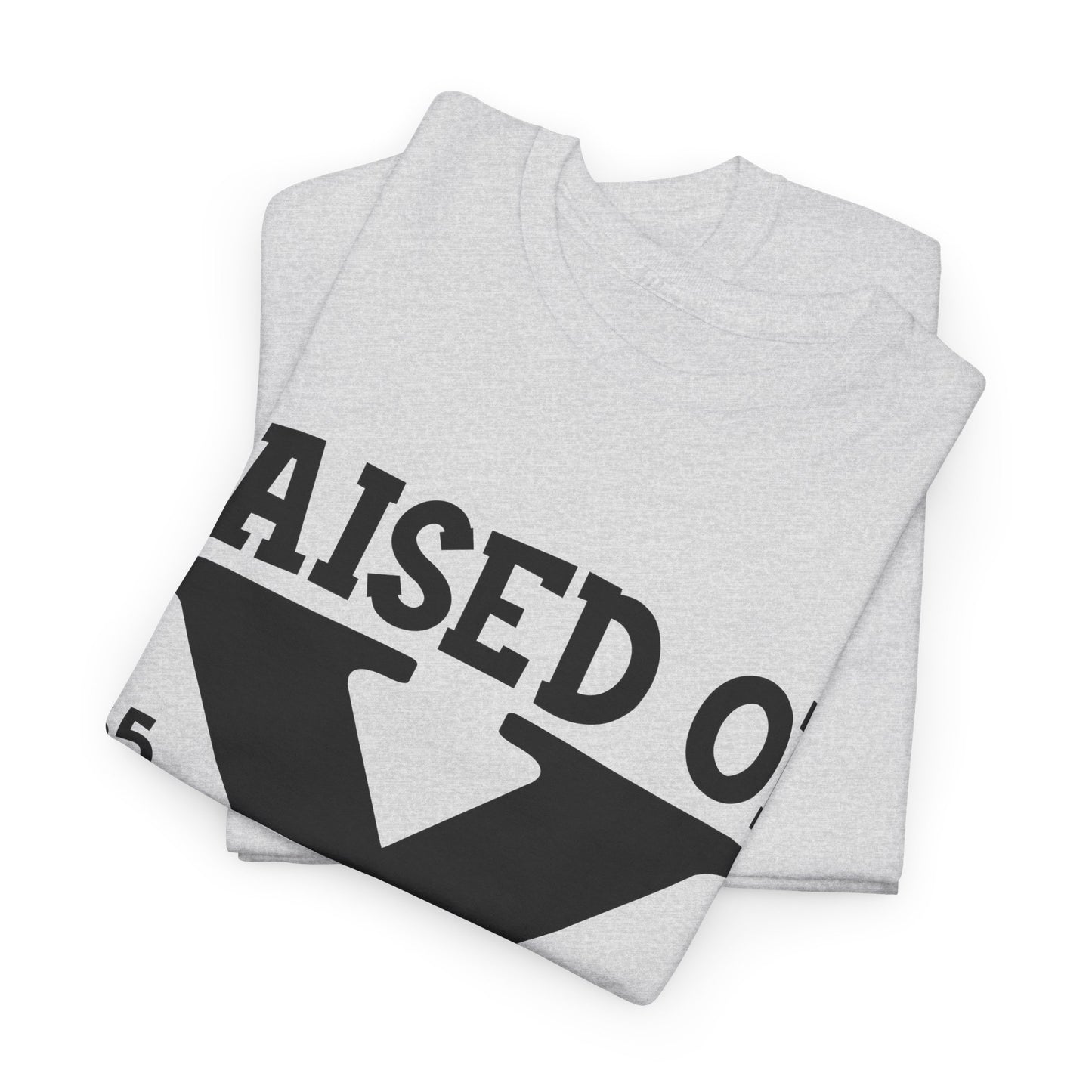 GEN X Raised On Hose Water & Neglect Tshirt Unisex Heavy Cotton