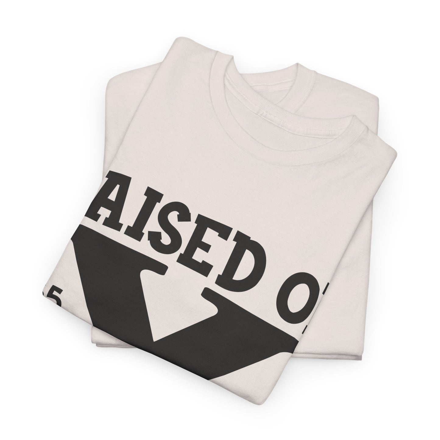 GEN X Raised On Hose Water & Neglect Tshirt Unisex Heavy Cotton