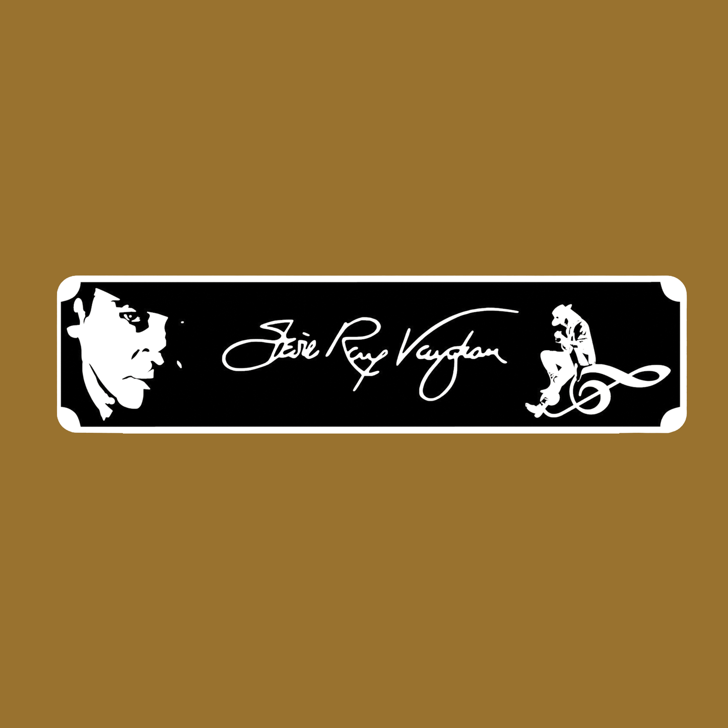 Stevie Ray Vaughan Street Sign 6" X 24" Man Cave Indoor/Outdoor